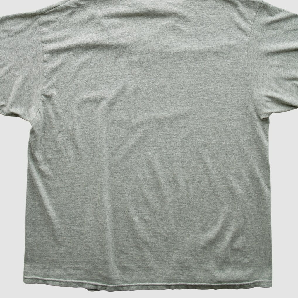 Indianapolis Colts Champion 2000s T-shirt - Heather Gray Vintage online