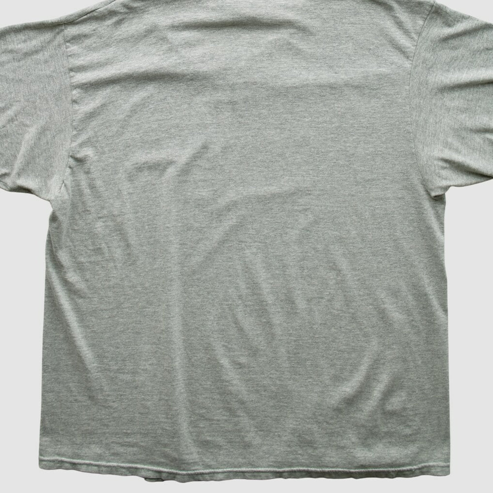 Indianapolis Colts Champion 2000s T-shirt - Heather Gray Vintage online