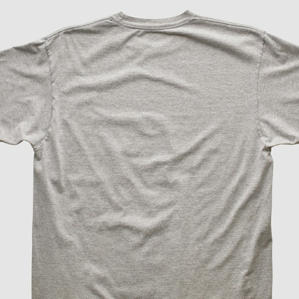 Pittsburgh Steelers Reebok 2006 T-shirt - Heather Gray Vintage online