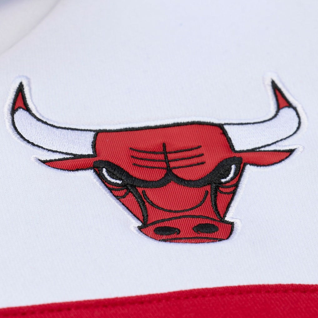 Chicago Bulls Head Coach Hoodie - Black on sale