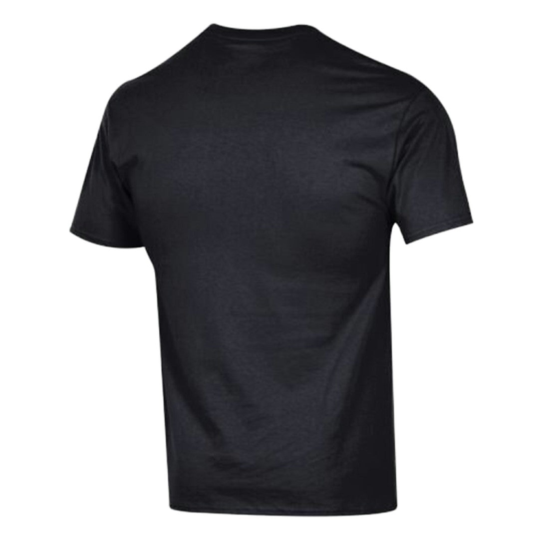 Detroit Lions Champion Arch Over Logo T-Shirt - Black sale