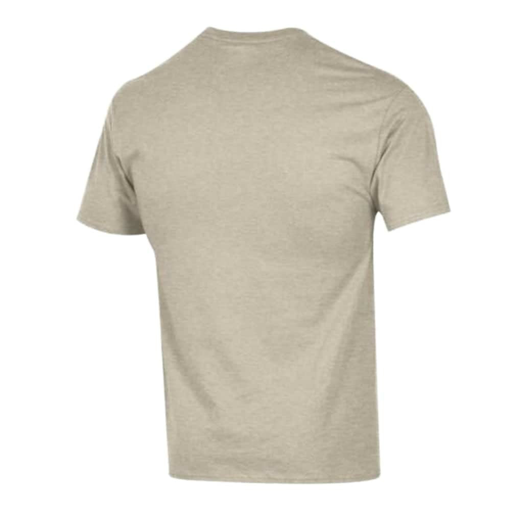 Atlanta Falcons Champion Jersey T-Shirt - Oatmeal outlet