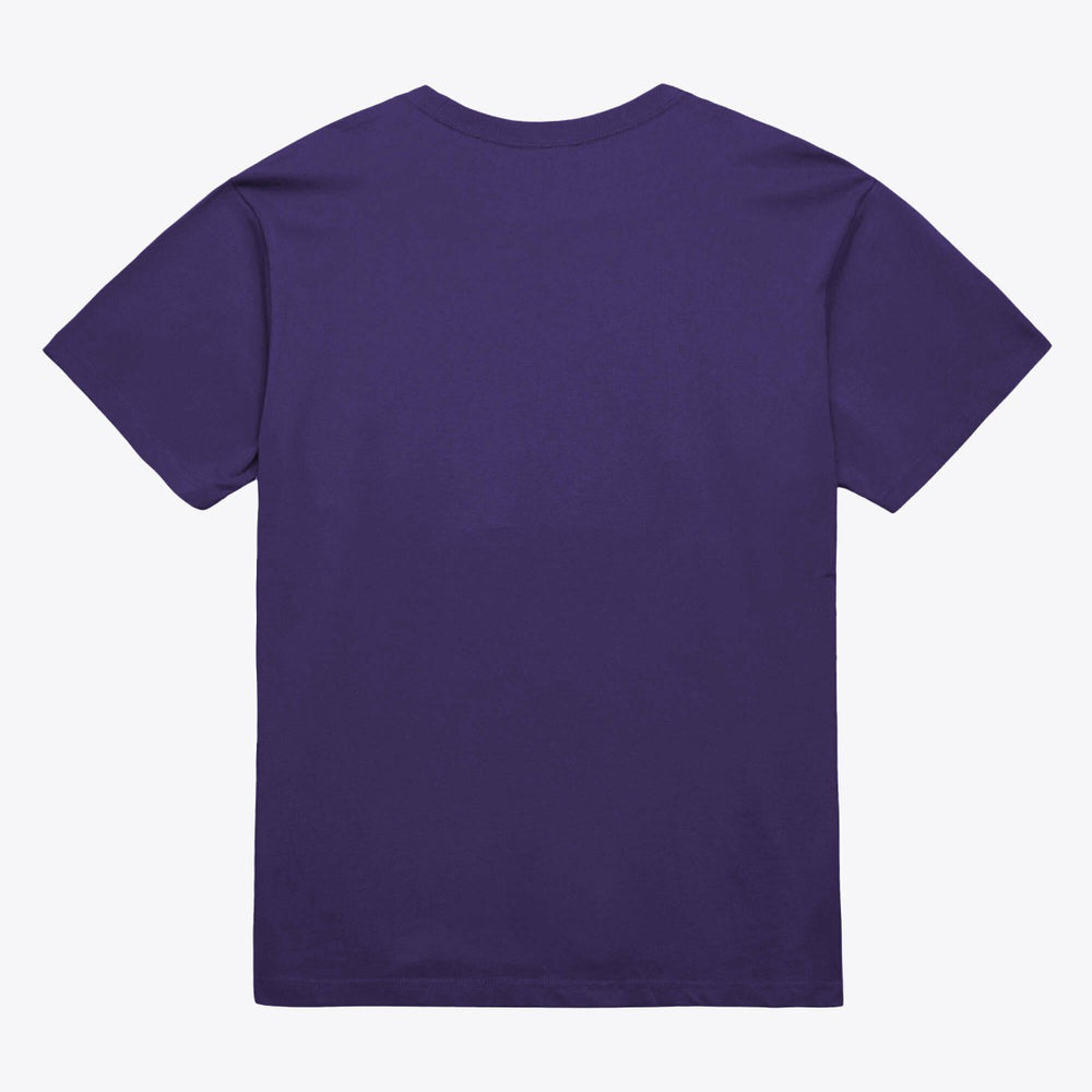 Phoenix Suns Unisex Hardwood Classics Arch T-Shirt - Purple shop