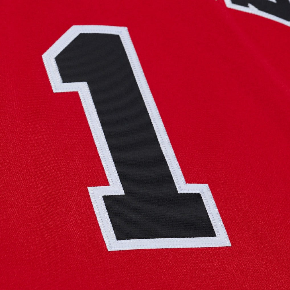 Derrick Rose Chicago Bulls 2008-09 Authentic Jersey sale - Red for sale