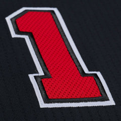 Derrick Rose Chicago Bulls 2010-11 Authentic Jersey sale - Black cheap