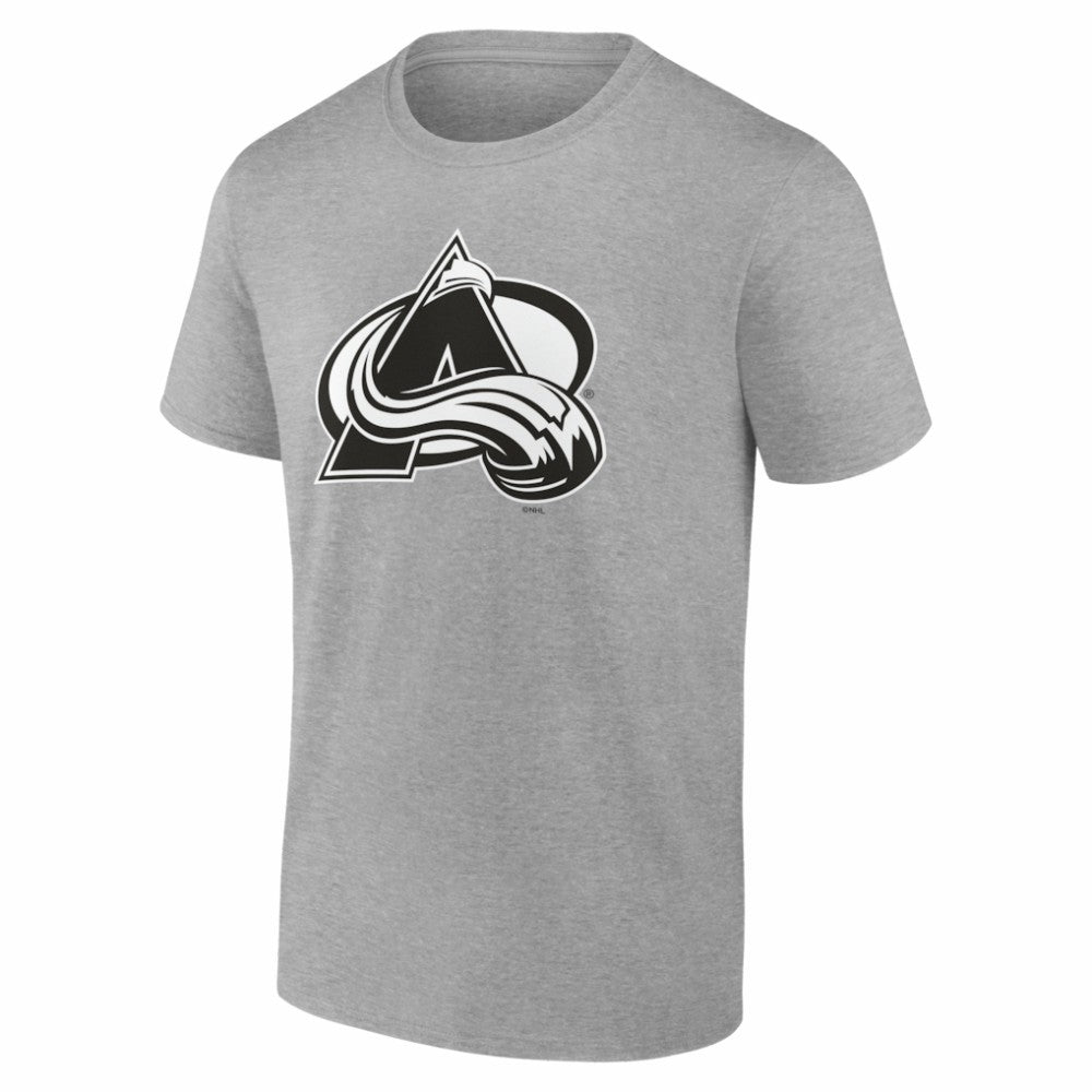 Colorado Avalanche Big & Tall Personalized Name & Number Monochrome T-Shirt - Gray T-shirts