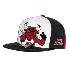 Chicago Bulls Youth Mascot Snapback Hat - Black discount