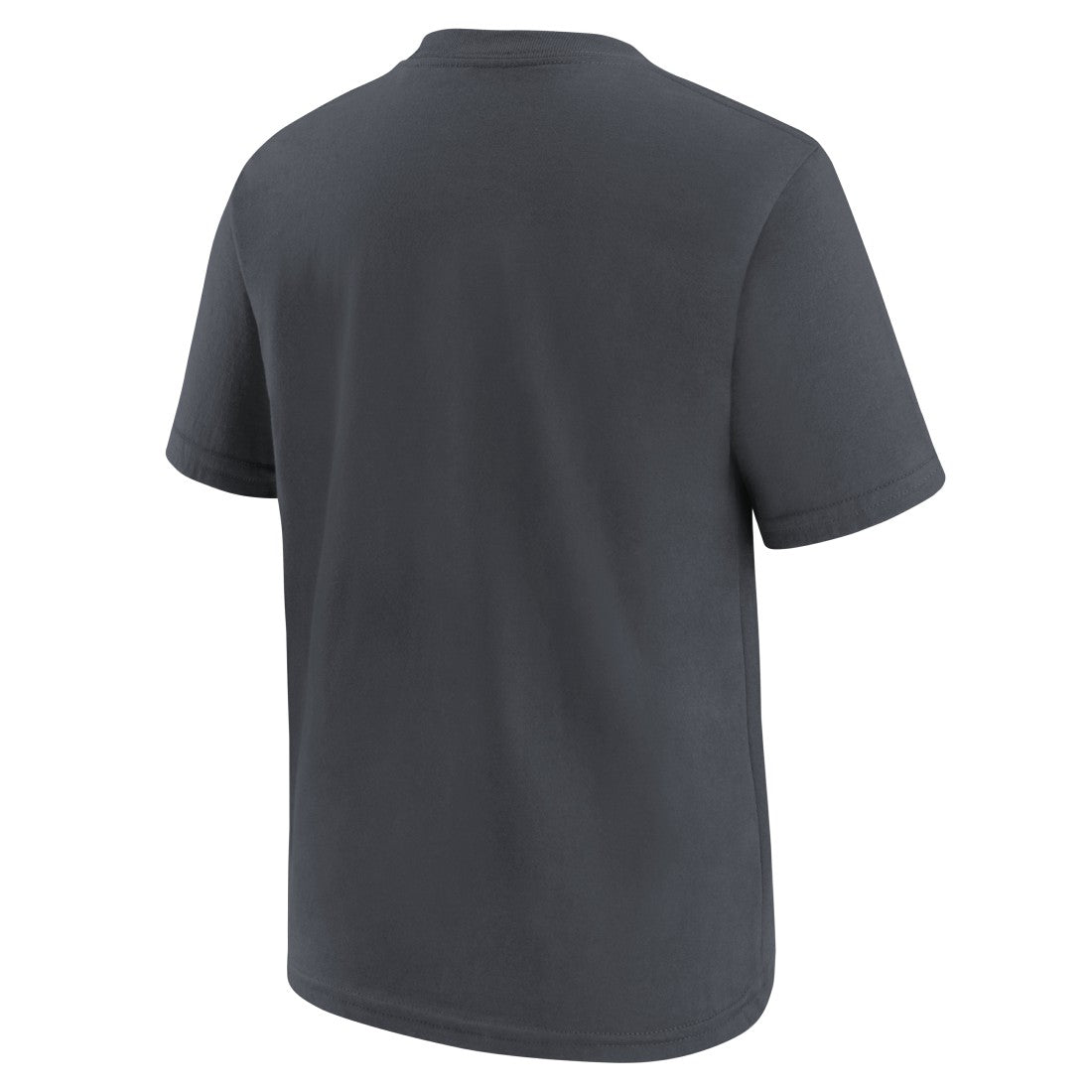 Seattle Seahawks Youth Super Bowl LX Champions Parade T-Shirt - Charcoal cheap