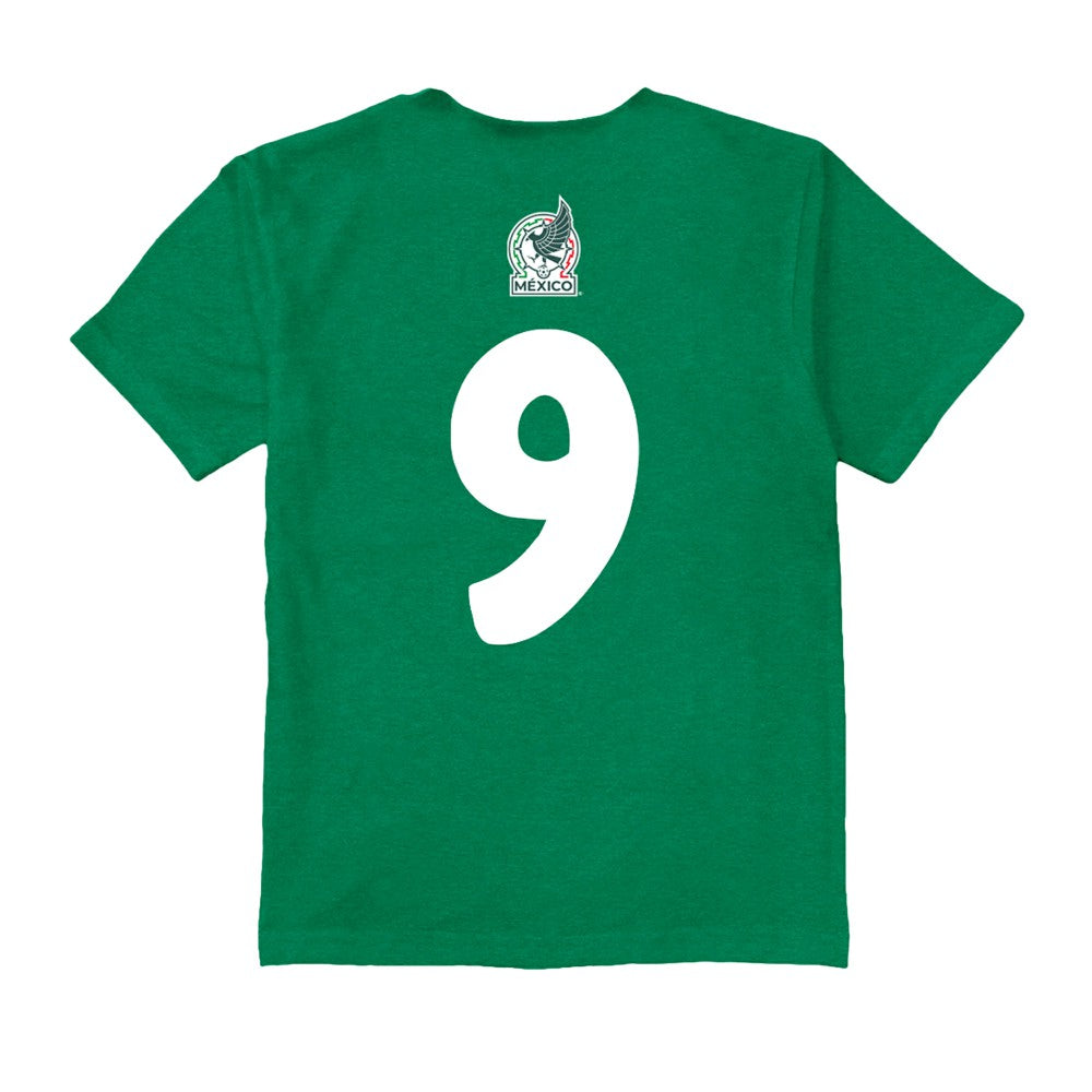 Raúl Jiménez Mexico National Team Vive La Fete Youth Player Name & Number Color Badge T-Shirt - Green online