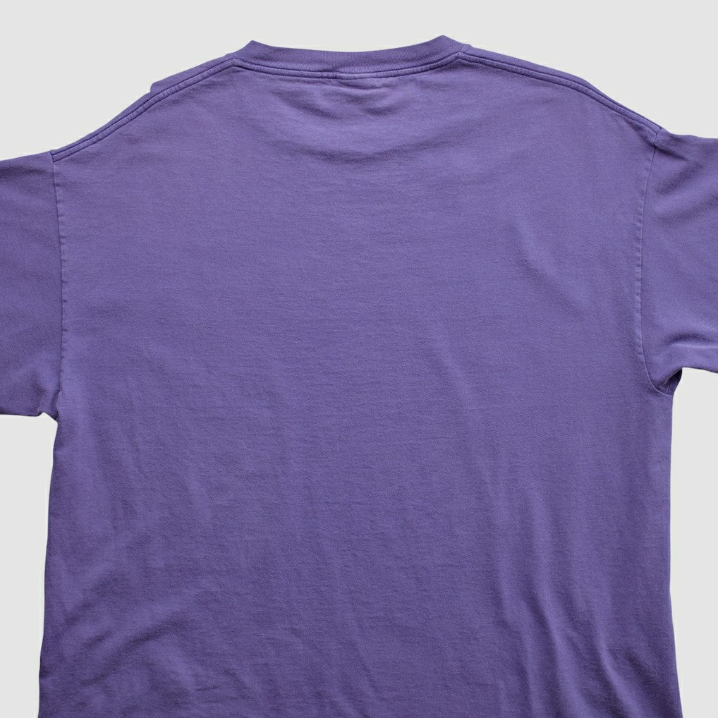 Minnesota Vikings Lee Apparel 2000s T-shirt - Purple Vintage online