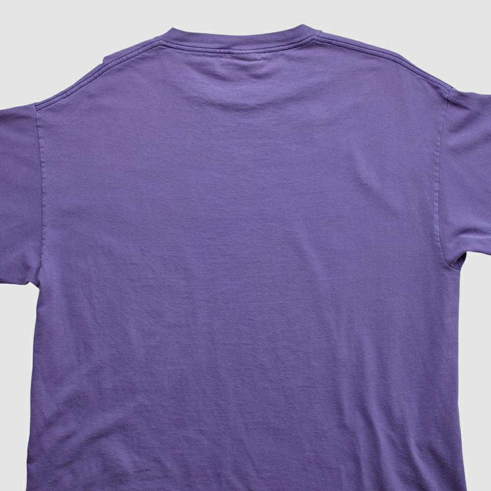 Minnesota Vikings Lee Apparel 2000s T-shirt - Purple Vintage online