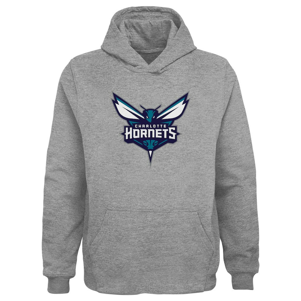 Charlotte Hornets Outerstuff Youth Primary Logo Pullover Hoodie - Gray sale