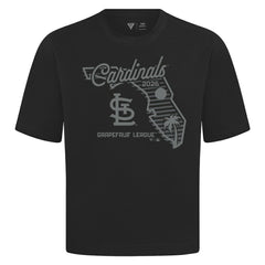 St. Louis Cardinals Levelwear Sunrise Luxe Signature Knit T-Shirt Black