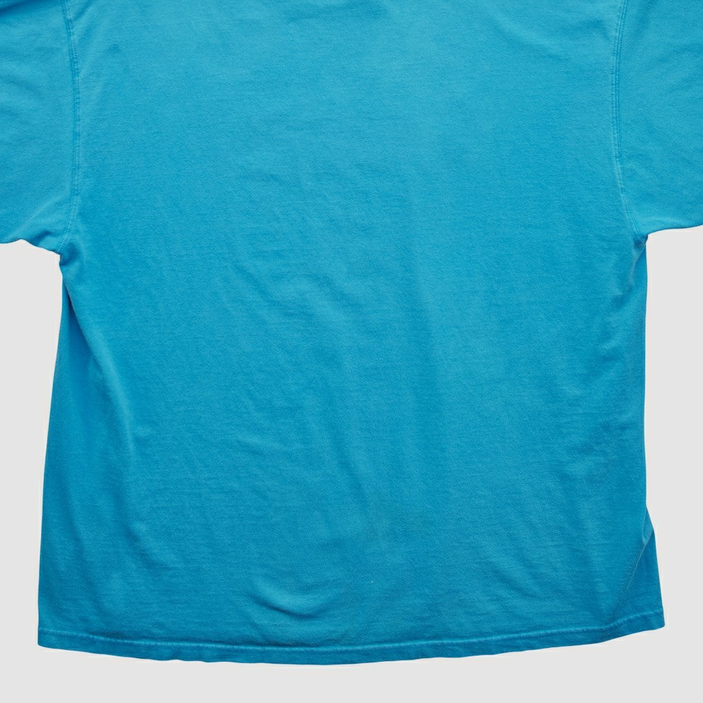 Carolina Panthers NFL 2000s T-shirt - Blue Vintage for sale
