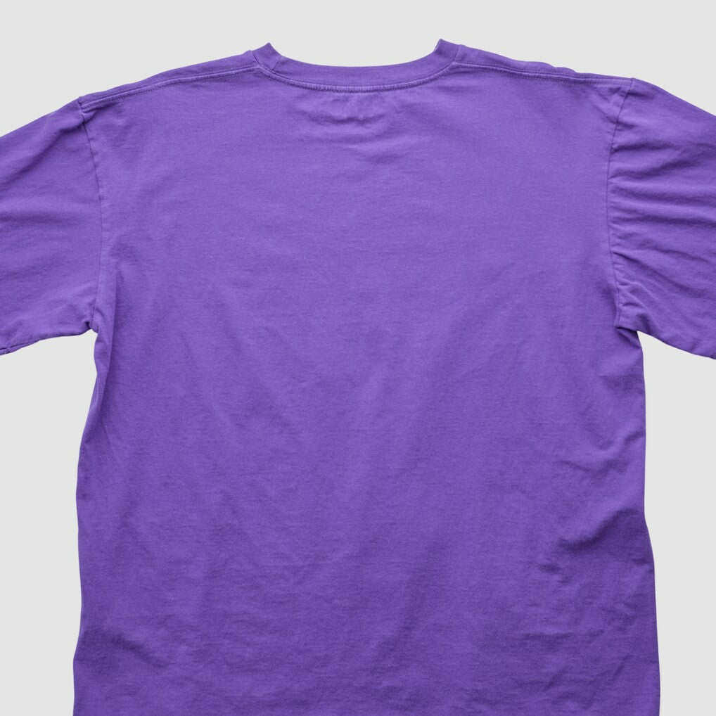 Minnesota Vikings NFL 2000s T-shirt - Purple Vintage on sale