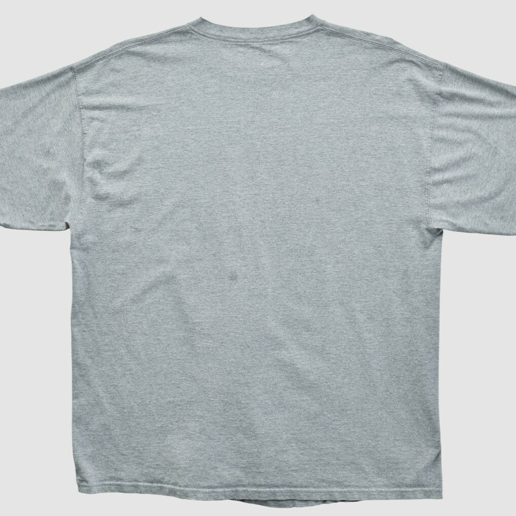 Miami Dolphins NFL 2000s T-shirt - Heather Gray Vintage outlet