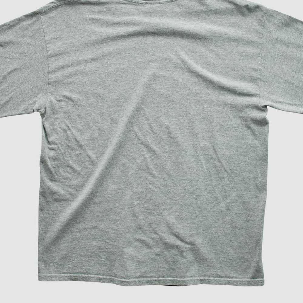 New England Patriots NFL 2000s Long Sleeve T-shirt - Heather Gray Vintage on sale