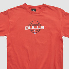 Chicago Bulls 2010s T-shirt sale - Red Vintage online