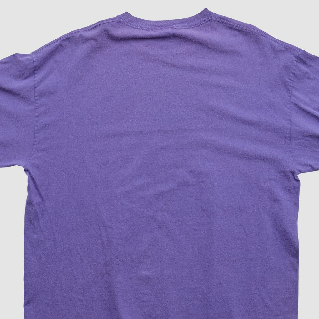 Minnesota Vikings NFL 2010s Long Sleeve T-shirt - Purple Vintage for sale