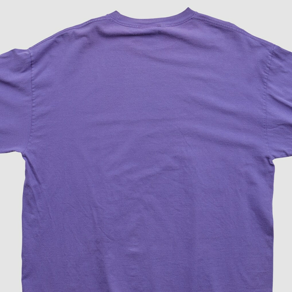 Minnesota Vikings NFL 2010s Long Sleeve T-shirt - Purple Vintage for sale