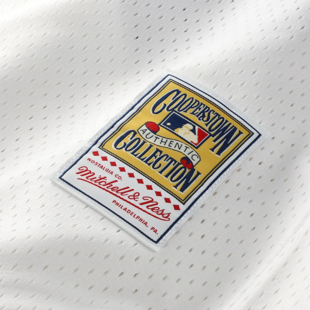 Carlton Fisk Chicago White Sox Authentic Batting Practice Jersey White