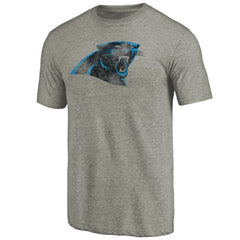 Carolina Panthers Distressed Team T-Shirt - Ash cheap
