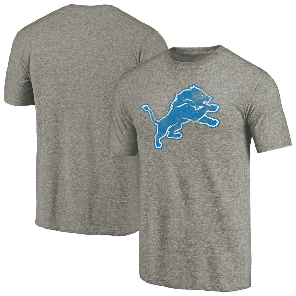 Detroit Lions Distressed Team T-Shirt - Ash on sale