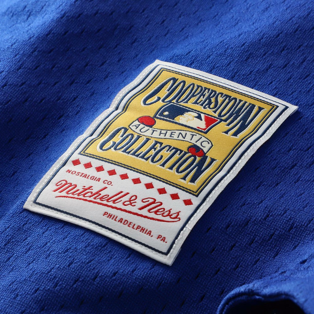 Mike Piazza Los Angeles Dodgers Cooperstown Collection Mesh Batting Practice Button-Up Jersey Royal