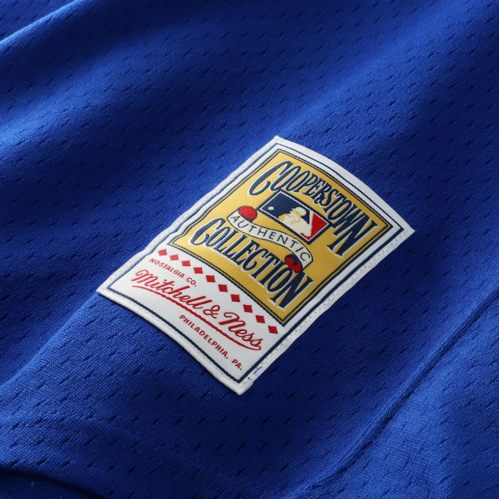 Dale Murphy Atlanta Braves Authentic Batting Practice Jersey Royal