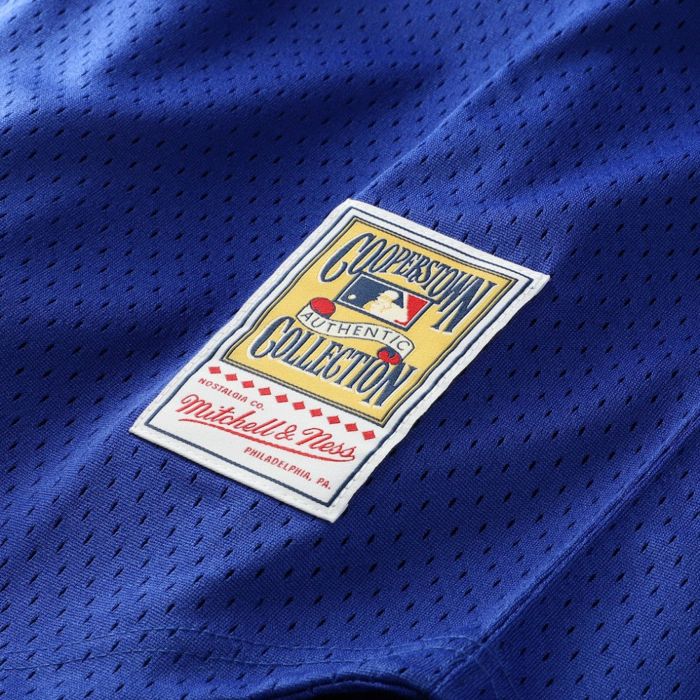 Bo Jackson Kansas City Royals Cooperstown Collection Big & Tall Mesh Batting Practice Jersey Royal