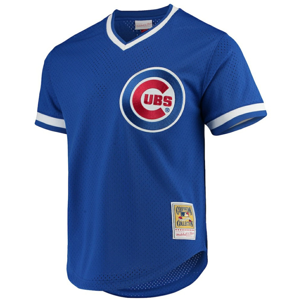 Andre Dawson Chicago Cubs Authentic Batting Practice Jersey Royal