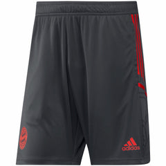 Bayern Munich Training AEROREADY Shorts - Gray shop