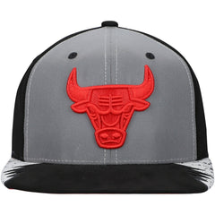 Chicago Bulls Day 5 Snapback Hat - Silver/Gray online
