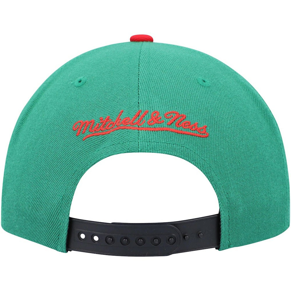 Chicago Bulls Day One Snapback Hat - Black/Green online