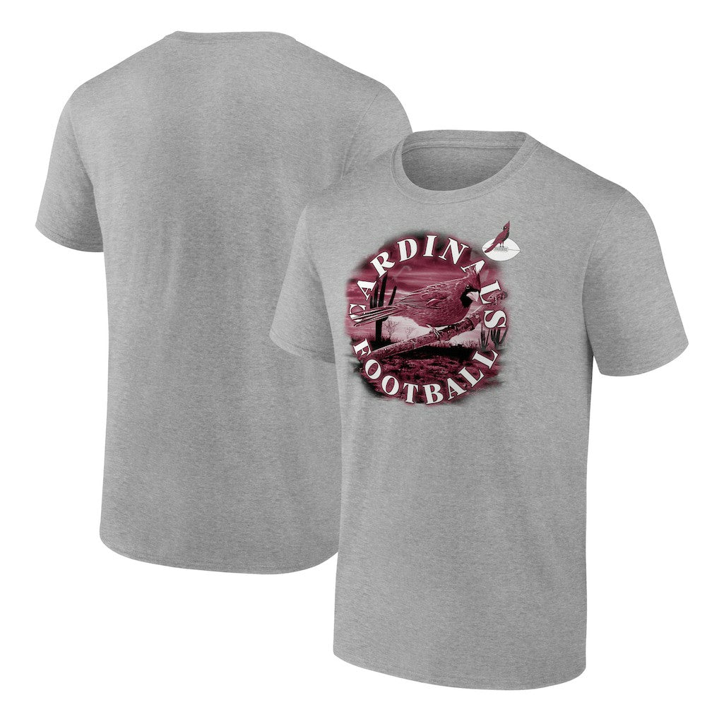Arizona Cardinals Big & Tall Sporting Chance T-Shirt - Heathered Gray outlet