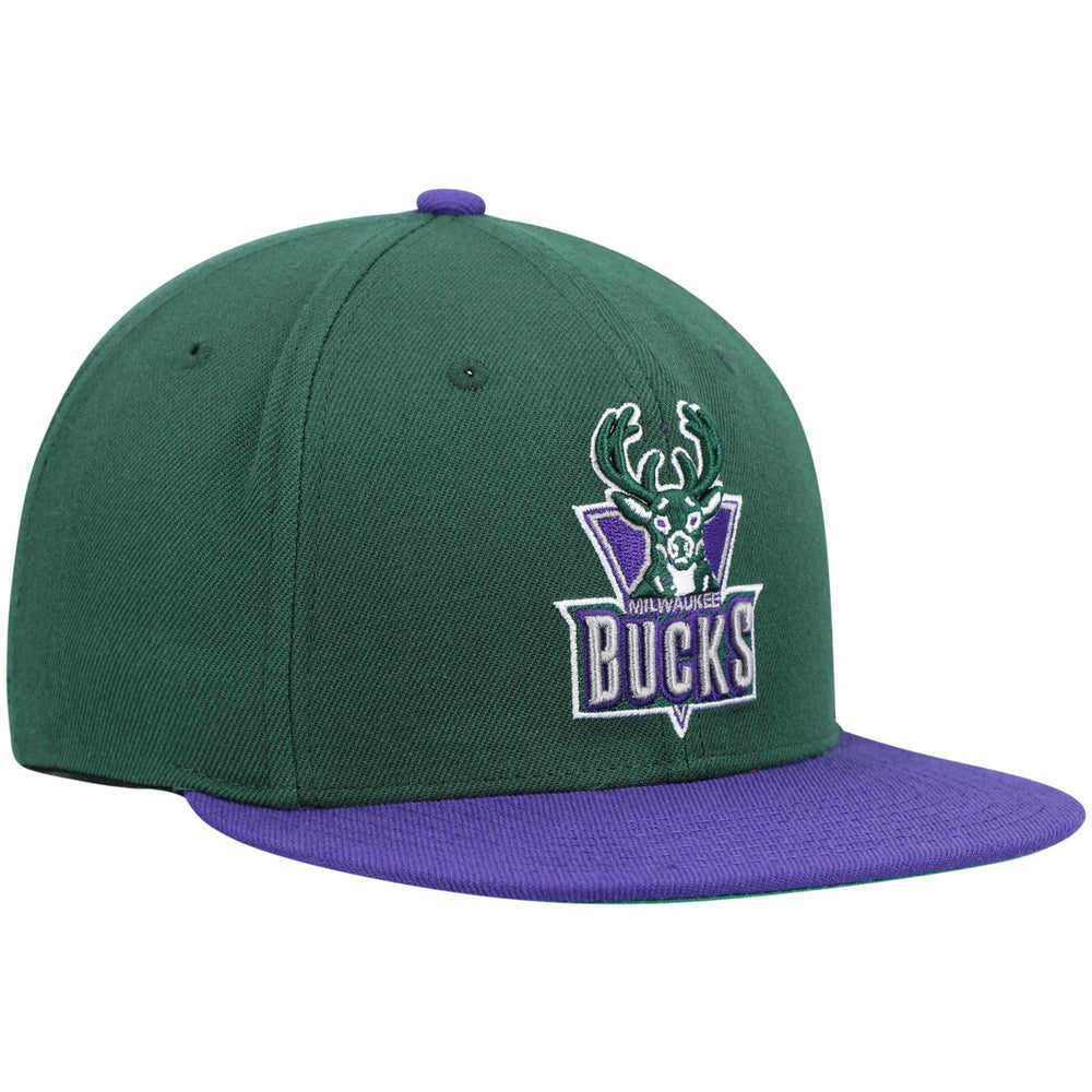 Milwaukee Bucks Hardwood Classics Team Two-Tone 2.0 Snapback Hat - Green/Purple on sale
