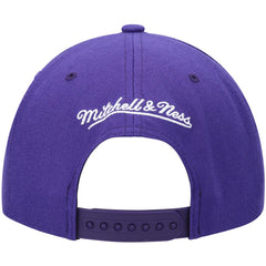 Phoenix Suns Hardwood Classics Team Ground 2.0 Snapback Hat - Purple cheap