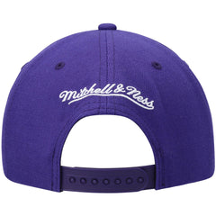 Phoenix Suns Ground 2.0 Snapback Hat - Purple outlet