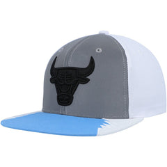 Chicago Bulls Day 5 Snapback Hat - Silver/Blue sale