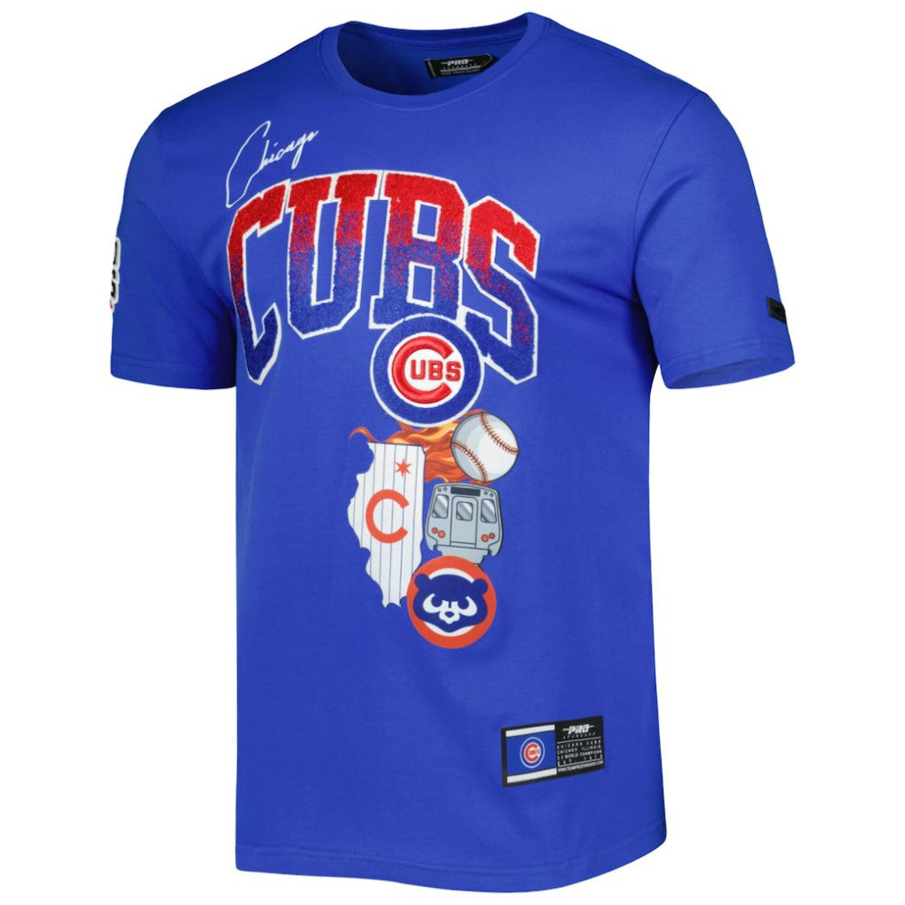 Chicago Cubs Pro Standard Hometown T-Shirt Royal