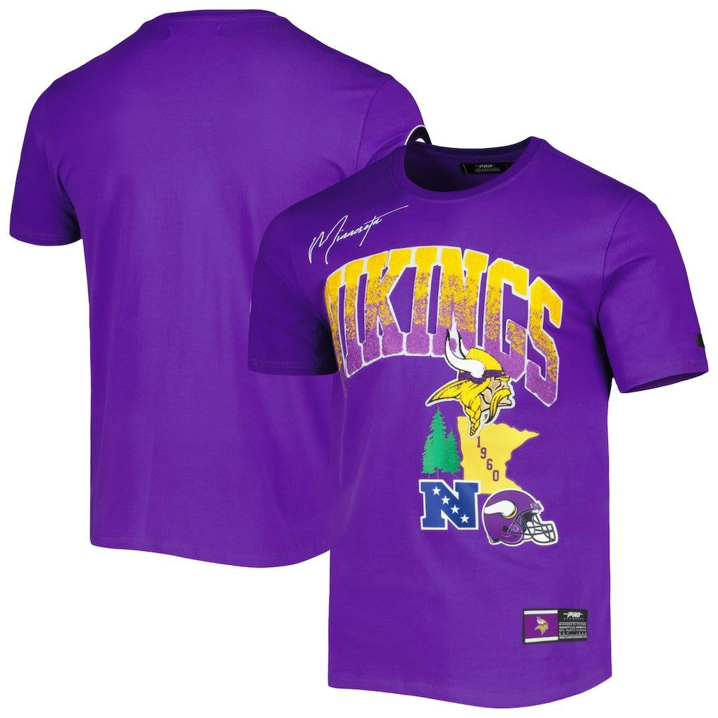 Minnesota Vikings Pro Standard Hometown Collection T-Shirt - Purple discount