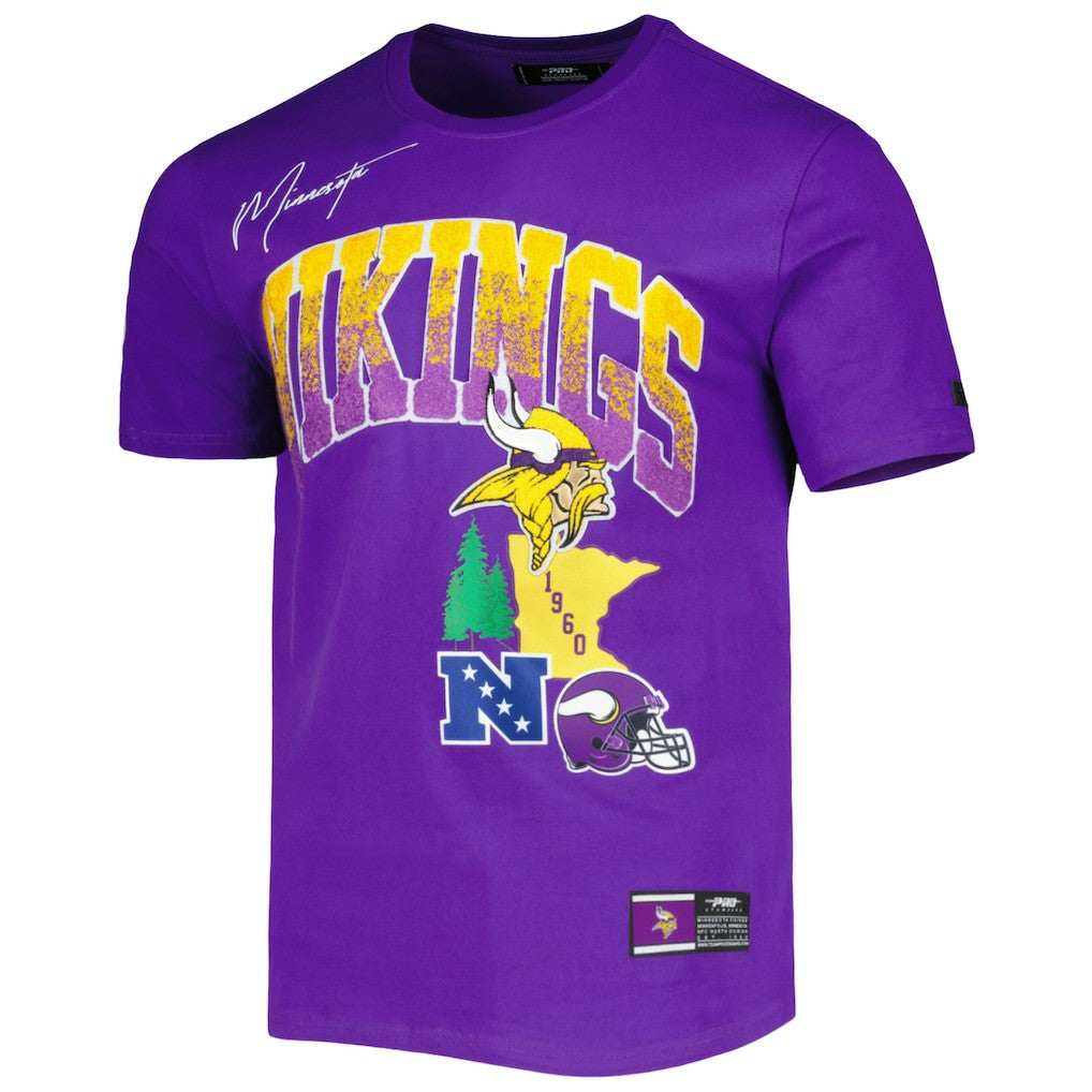 Minnesota Vikings Pro Standard Hometown Collection T-Shirt - Purple discount