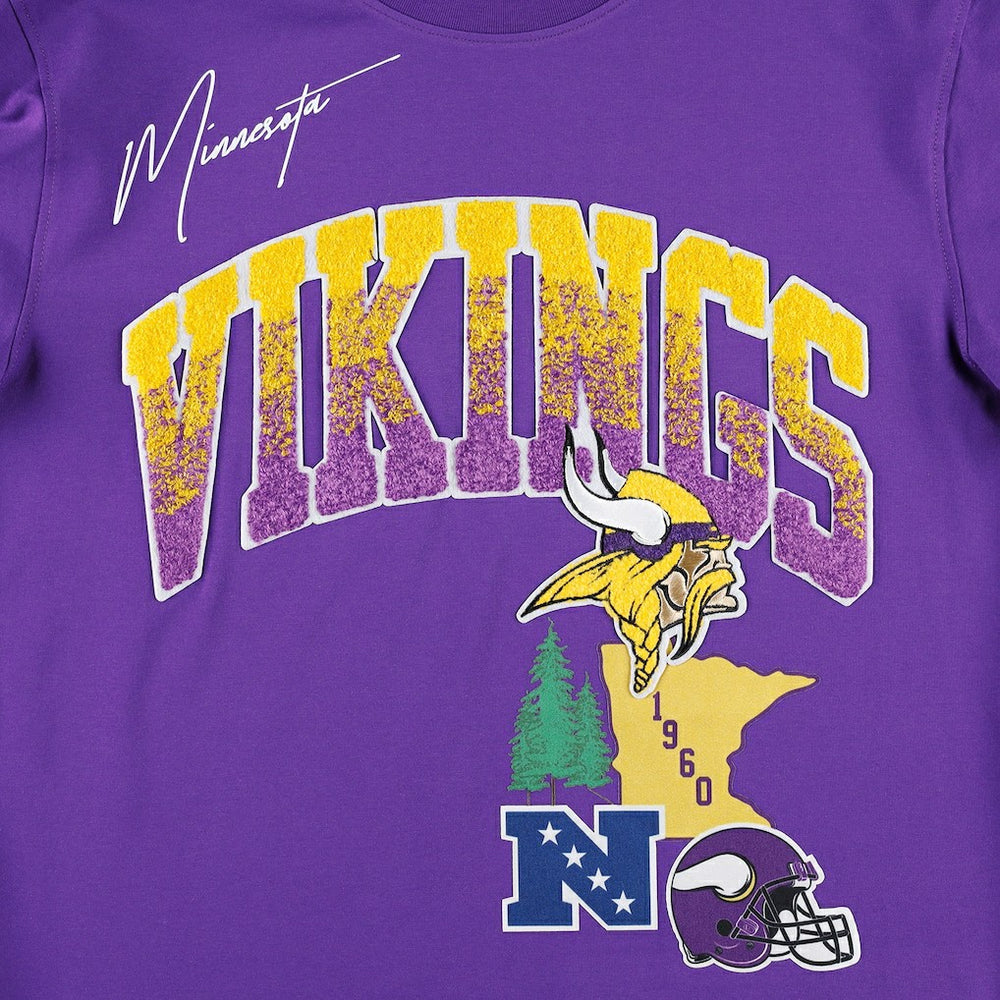Minnesota Vikings Pro Standard Hometown Collection T-Shirt - Purple discount