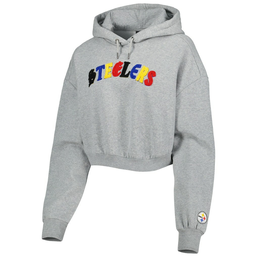 Pittsburgh Steelers The Wild Collective Women's Cropped Pullover Hoodie - Gray discount
