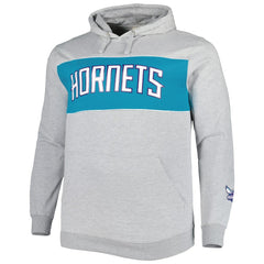 Charlotte Hornets Big & Tall Wordmark Pullover Hoodie - Heather Gray cheap
