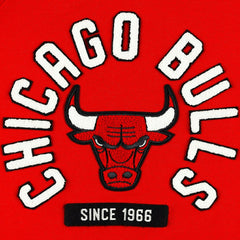 Chicago Bulls Sportiqe Unisex Athos Olson Tri-Blend Pullover Hoodie - Red shop