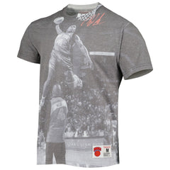 Nate Robinson New York Knicks Above The Rim T-Shirt - Gray sale