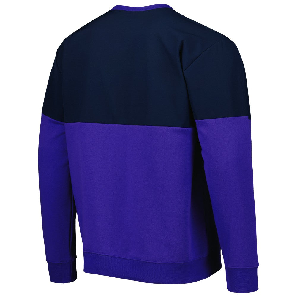 Argentina National Team Graphic Pullover Sweatshirt - Navy/Purple sale