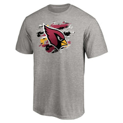 Arizona Cardinals True Color T-Shirt - Heather Gray for sale