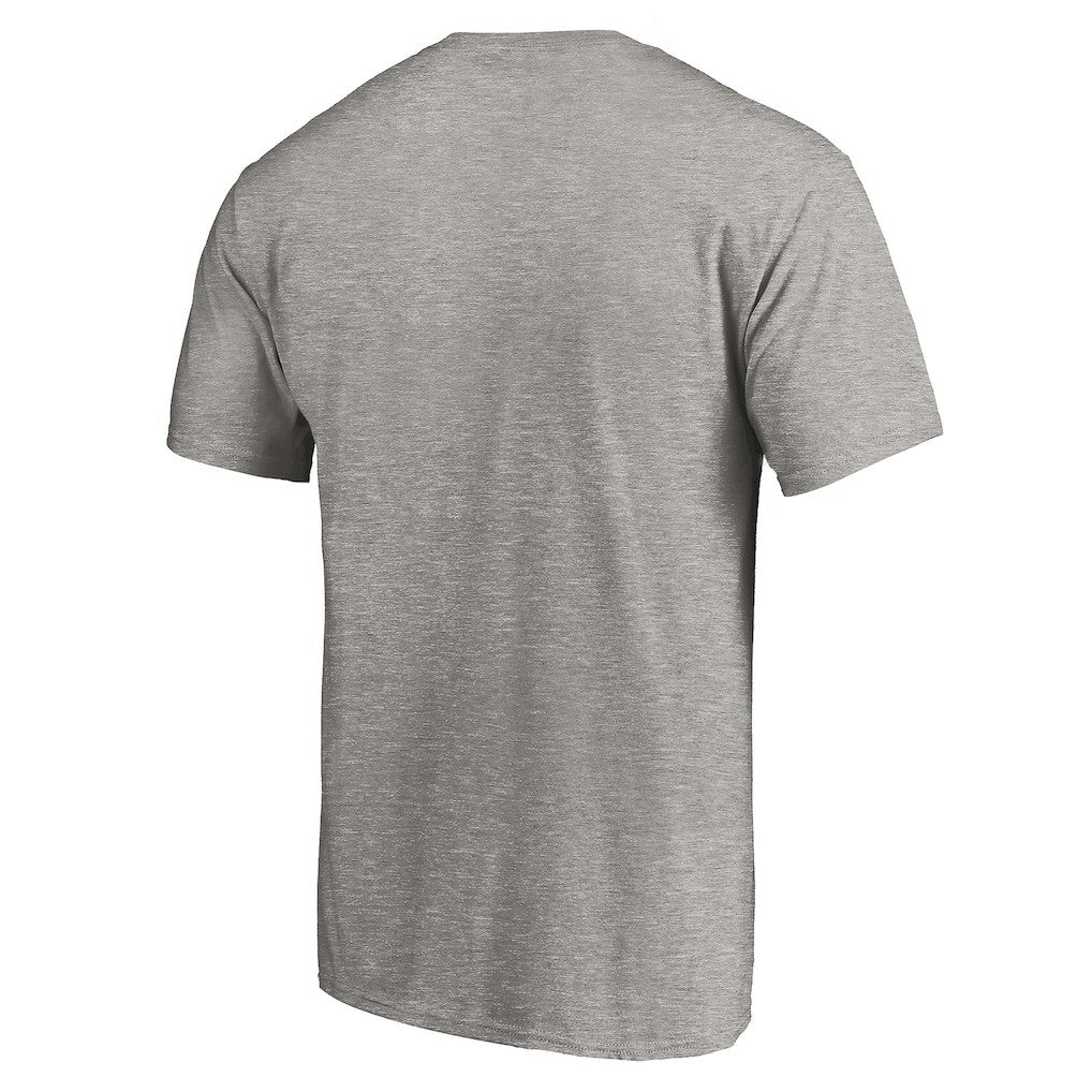 Carolina Panthers True Color T-Shirt - Heather Gray for sale